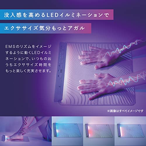 EMSシート エクササイズ ルルドスタイル 低周波&中周波 EMSシート エクササイズ ルルドスタイル 低周波&中周波