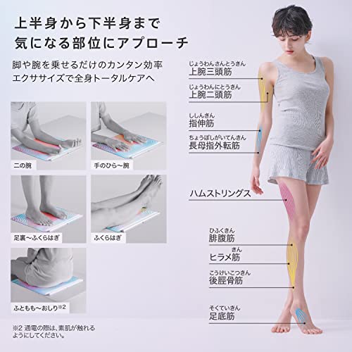 EMSシート エクササイズ ルルドスタイル 低周波&中周波 EMSシート エクササイズ ルルドスタイル 低周波&中周波