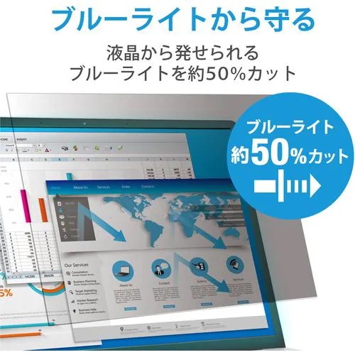 エレコム EF-PFK17 液晶保護フィルター のぞき見防止 抗菌 17インチ(5:4) エレコム EF-PFK17 液晶保護フィルター のぞき見防止 抗菌 17インチ(5:4)