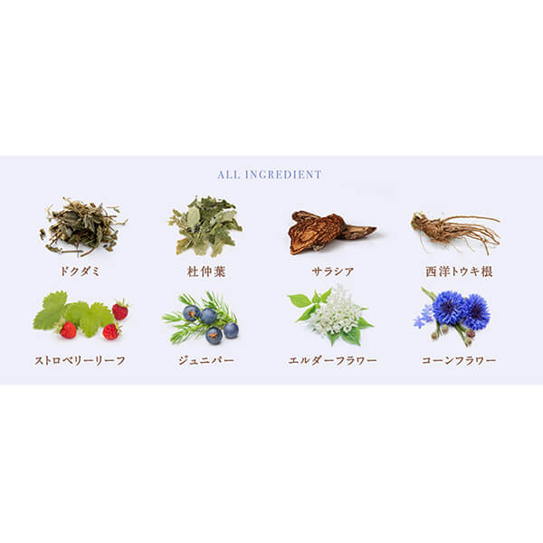 イエル IERU 和漢ハーブティー クレンズ 2g15包入り 5個セット イエル IERU 和漢ハーブティー クレンズ 2g15包入り 5個セット