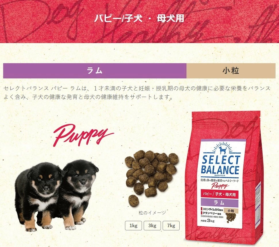 セレクトバランス パピー ラム 小粒 子犬母犬用 7kg 2個セット