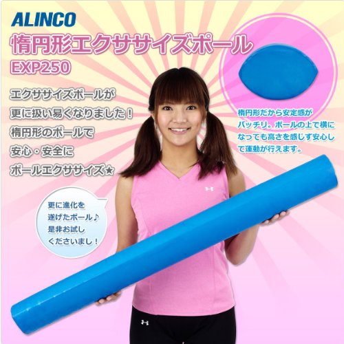 アルインコ(ALINCO) 楕円形 エクササイズポール EXP250 (ストレッチ バランス運動用) アルインコ(ALINCO) 楕円形 エクササイズポール EXP250 (ストレッチ バランス運動用)