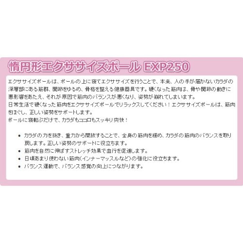 アルインコ(ALINCO) 楕円形 エクササイズポール EXP250 (ストレッチ バランス運動用) アルインコ(ALINCO) 楕円形 エクササイズポール EXP250 (ストレッチ バランス運動用)