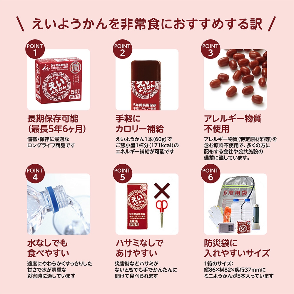 井村屋 えいようかん (60g×5本入り) ×20セット 井村屋 えいようかん (60g×5本入り) ×20セット