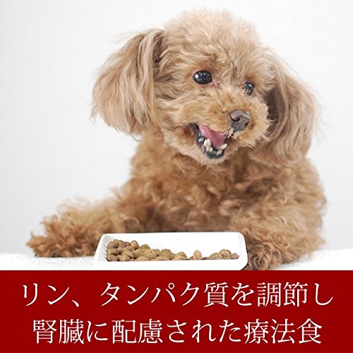 フォルツァディエチ() 療法食 リナールアクティブ 2Kg