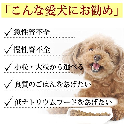 フォルツァディエチ() 療法食 リナールアクティブ 2Kg