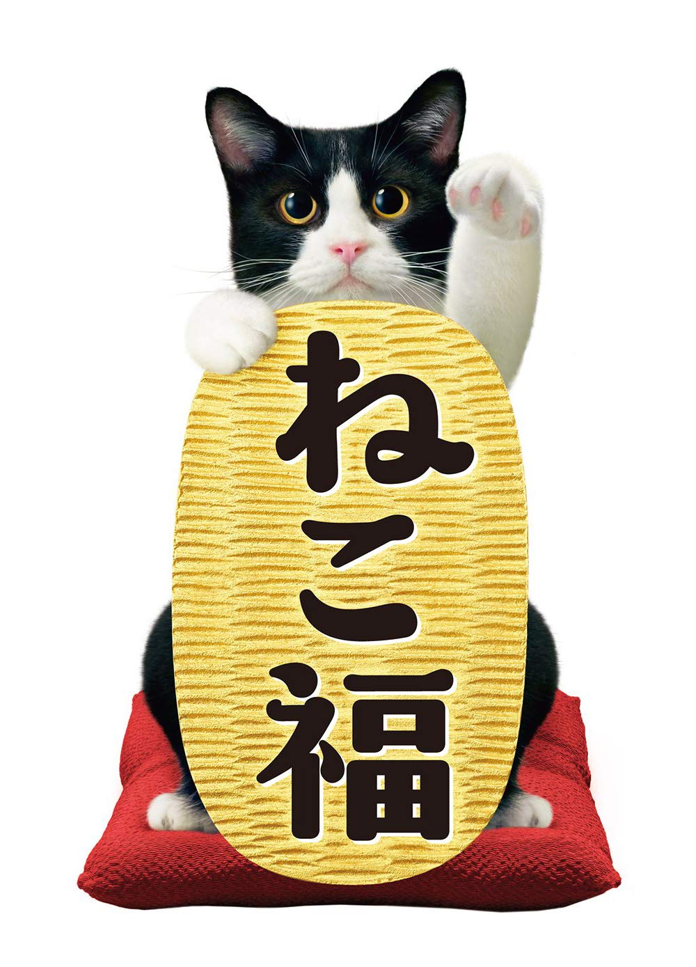 ペットライン ねこ福 猫用おやつ 39大入り袋 ビーフ仕立て おやつ スナック トリーツ ドライ 国産 小分け 大容量 117g(3g ×39袋入) (ケース販売)