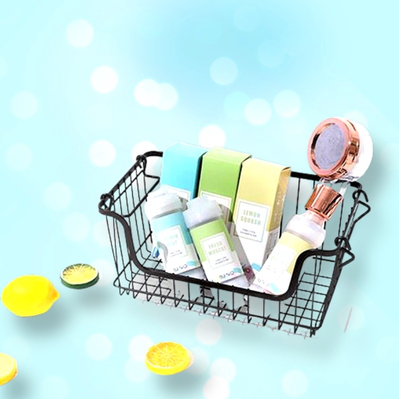 ファミリー ビタシャワー フィルター ギフト パッケージ（フィルター3種） 残留塩素除去 アロマテラピー