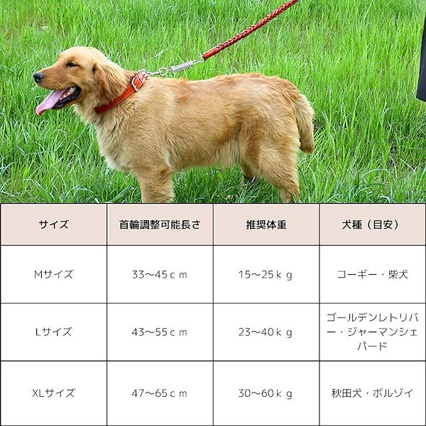 セール 犬 リード革編み込み