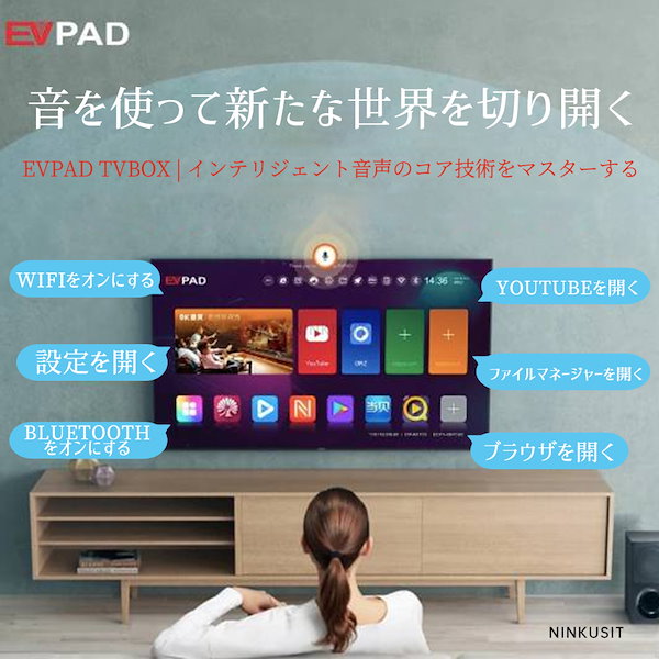 Qoo10] 日本版 EVPAD 易播 电视盒 10S