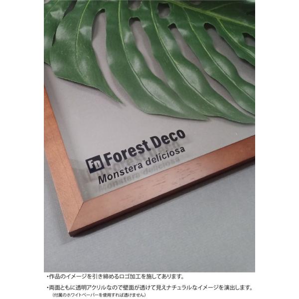 アートフレーム リーフパネル グリーン おしゃれ ウォールデコレーション ナチュラル 壁掛け 飾り 観葉植物 モンステラ2 520x520mm アートフレーム リーフパネル グリーン おしゃれ ウォールデコレーション ナチュラル 壁掛け 飾り 観葉植物 モンステラ2 520x520mm