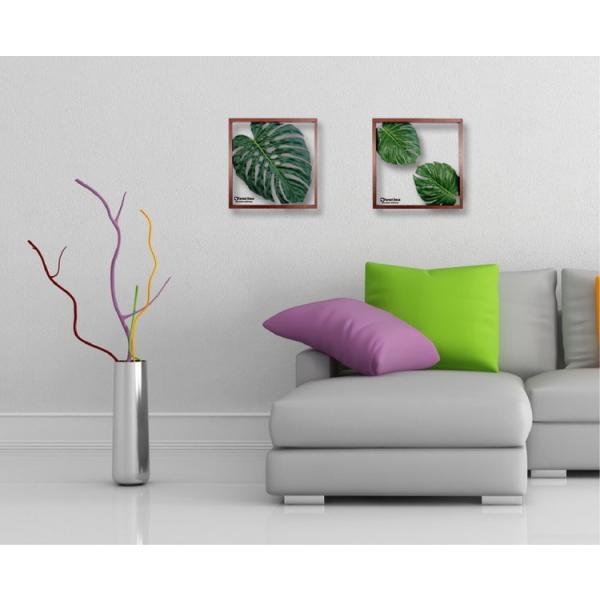 アートフレーム リーフパネル グリーン おしゃれ ウォールデコレーション ナチュラル 壁掛け 飾り 観葉植物 モンステラ2 520x520mm アートフレーム リーフパネル グリーン おしゃれ ウォールデコレーション ナチュラル 壁掛け 飾り 観葉植物 モンステラ2 520x520mm