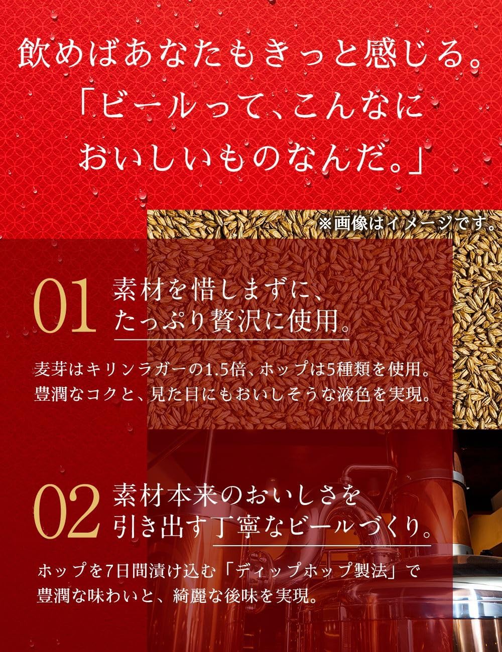 クラフトビール K SPRING VALLEY(スプリングバレー)豊潤496 500ML 48本 2ケース単位