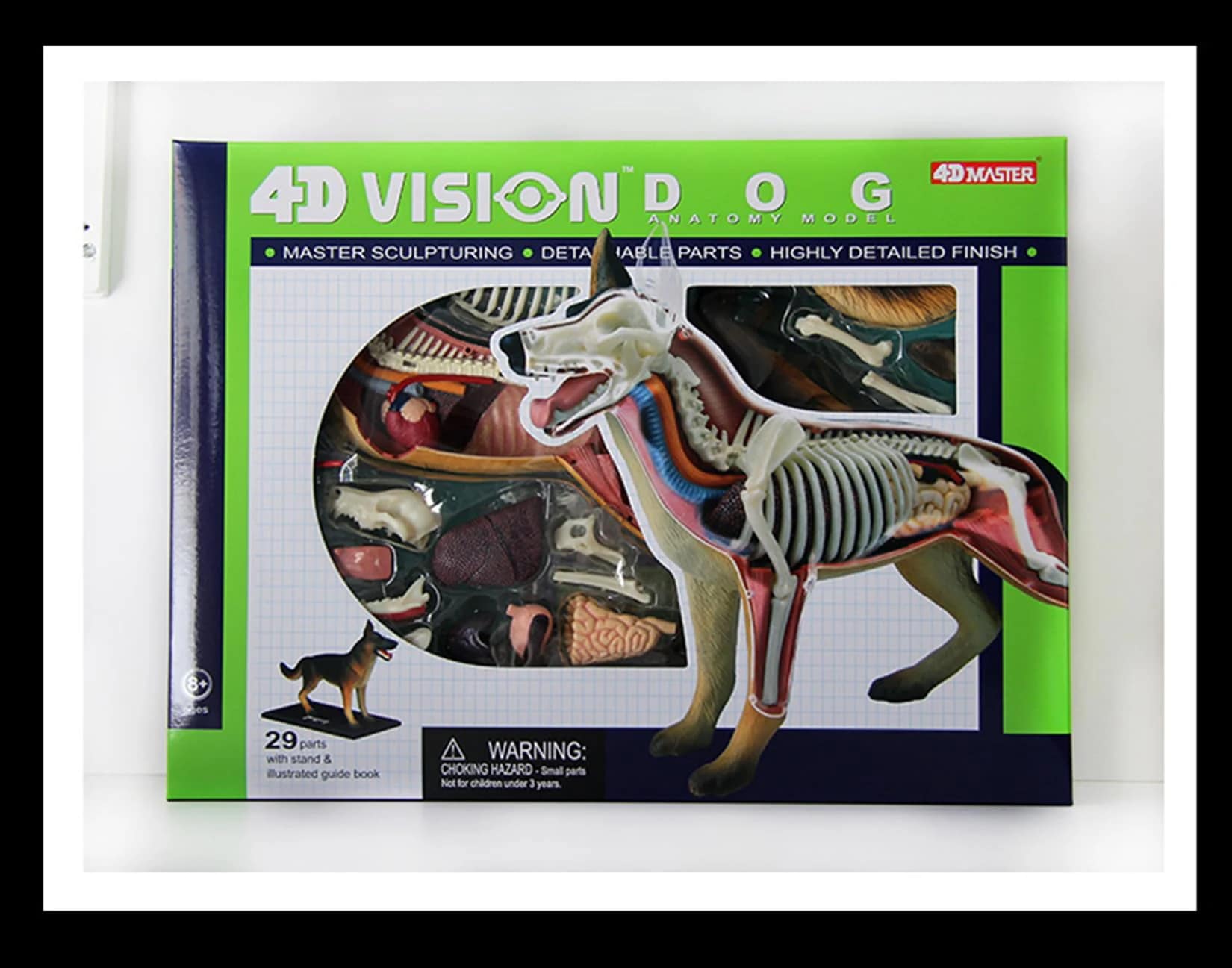 立体パズル 4D VISION 動物解剖モデル 犬 フィギュア シェパード Amazon.co.jp: Tedco 入学祝い 科学おもちゃサイエンストイ 教材