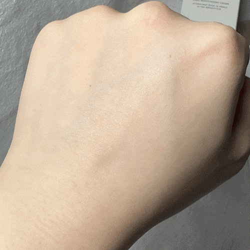 ネイチャー シカカタツムリクリーム 60ml 2本 高濃縮 ネイチャー シカカタツムリクリーム 60ml 2本 高濃縮