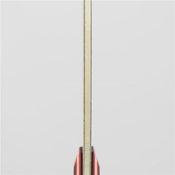STIGA（スティガ） 中国式ラケット CARBONADE 245 PENHOLDER