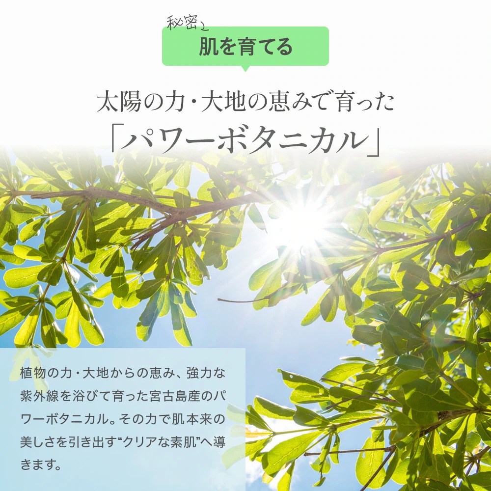 【 ホワイトヴェール ミネラルクレンズ 3本セット WHITE VEIL 】クレンジング スキンケア 肌育 敏感肌 毛穴 保湿 顔 目もと 鼻 女性 男性 シーミネラル アレルギーパッチ 【 ホワイトヴェール ミネラルクレンズ 3本セット WHITE VEIL 】クレンジング スキンケア 肌育 敏感肌 毛穴 保湿 顔 目もと 鼻 女性 男性 シーミネラル アレルギーパッチ