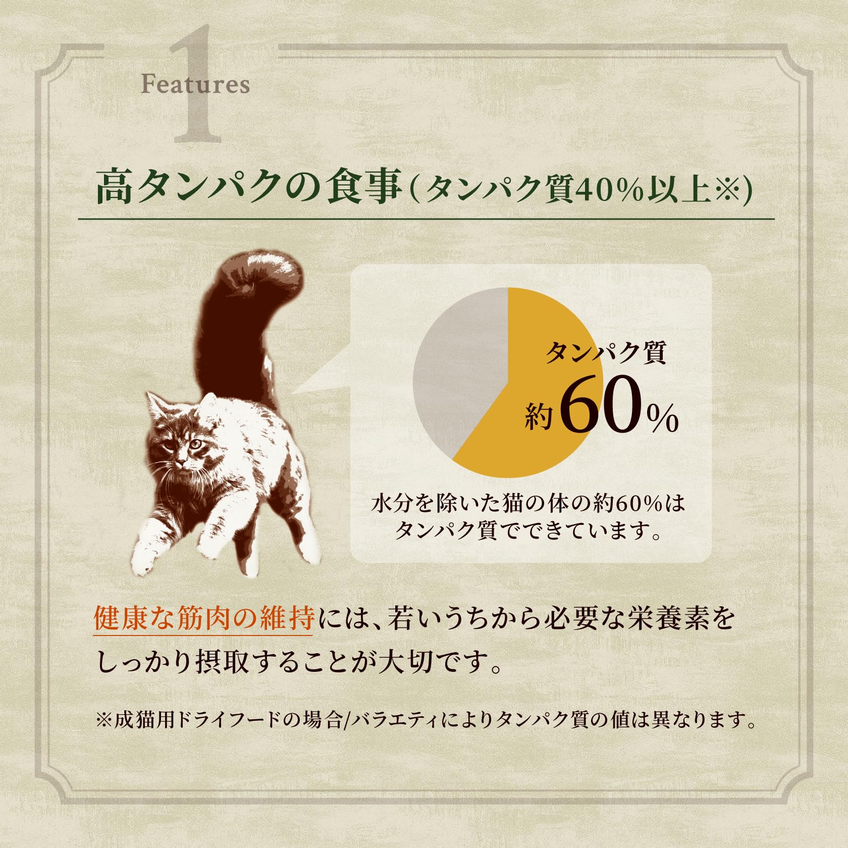 ワイルドレシピ 成猫用 グレインフリー フリーズドライプラス チキン 1kg ドライフード 総合栄養食 アダルト キャットフード 猫 穀物フリー 高タンパク 厳選自然素材 香料・着色料 無 ワイルドレシピ 成猫用 グレインフリー フリーズドライプラス チキン 1kg ドライフード 総合栄養食 アダルト キャットフード 猫 穀物フリー 高タンパク 厳選自然素材 香料・着色料 無