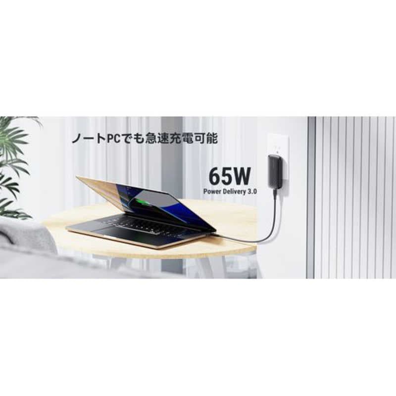 VOLTME　レボ65 EVO 充電器 65W TypeC 黒(CTC Moss 3A バンドル ケーブル付き) ［1ポート］　V2099 mdprevattcaulkingandwaterproofing.com
