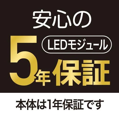 Qoo10] yselect YLLS06L ヤマダオ