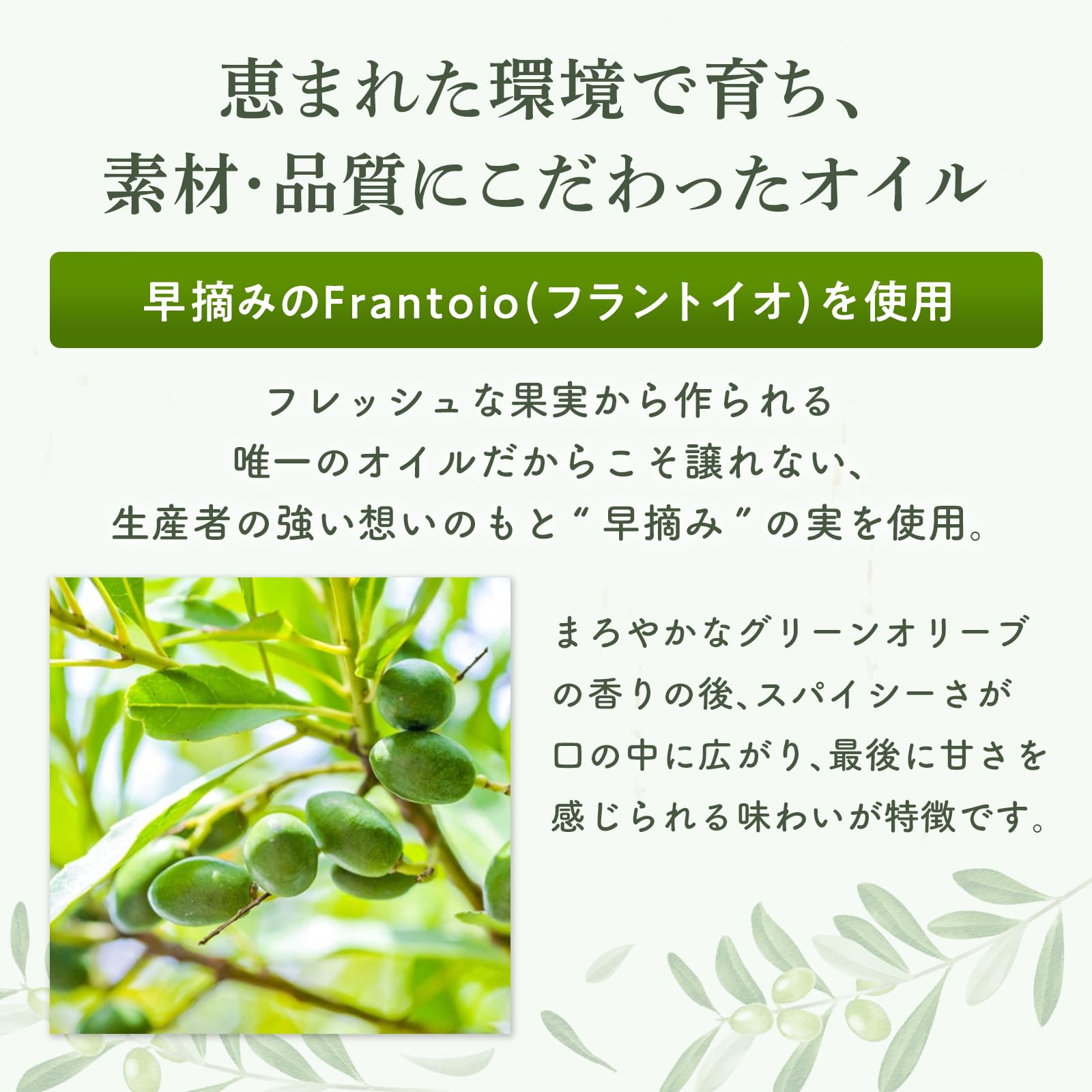 【FRUITY】エキストラバージン オリーブオイル ICONO(アイコノ) 500ml by MORE Chile 【FRUITY】エキストラバージン オリーブオイル ICONO(アイコノ) 500ml by MORE Chile