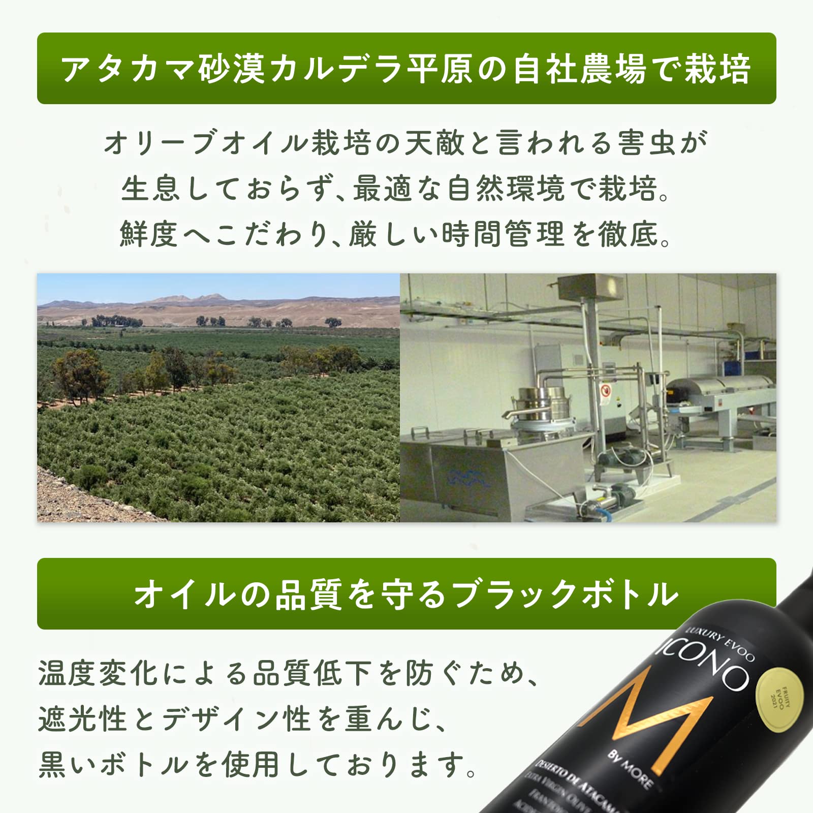 【FRUITY】エキストラバージン オリーブオイル ICONO(アイコノ) 500ml by MORE Chile 【FRUITY】エキストラバージン オリーブオイル ICONO(アイコノ) 500ml by MORE Chile