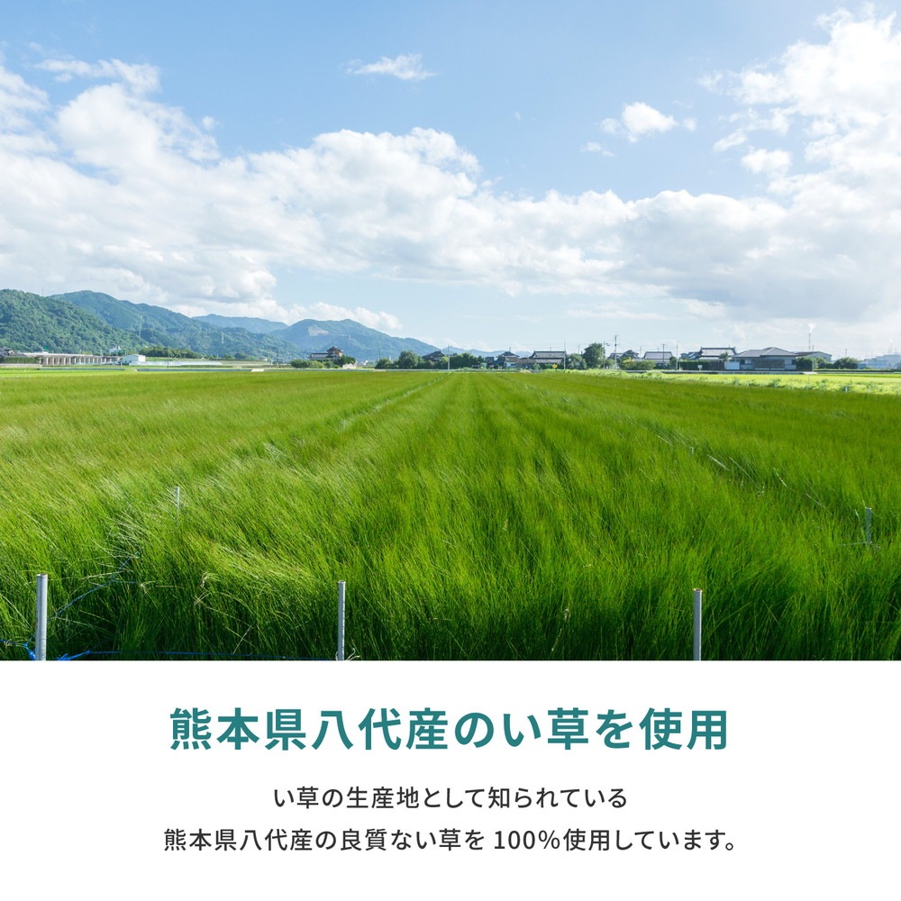 国産い草カーペット [天草（あまくさ）] 江戸間 4.5帖（261x261cm） グリーン