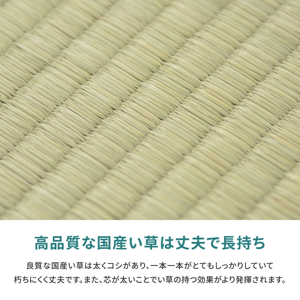 国産い草カーペット [天草（あまくさ）] 江戸間 4.5帖（261x261cm） グリーン