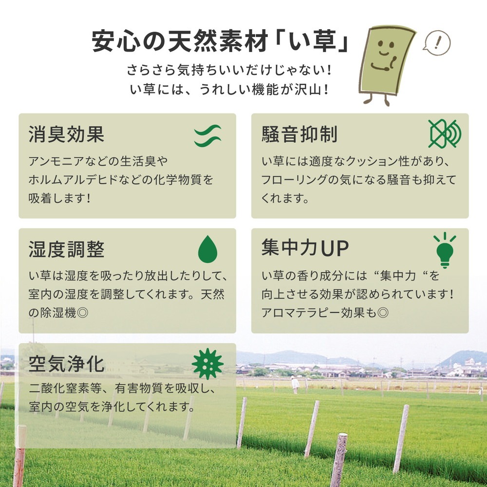 国産い草カーペット [天草（あまくさ）] 江戸間 4.5帖（261x261cm） グリーン