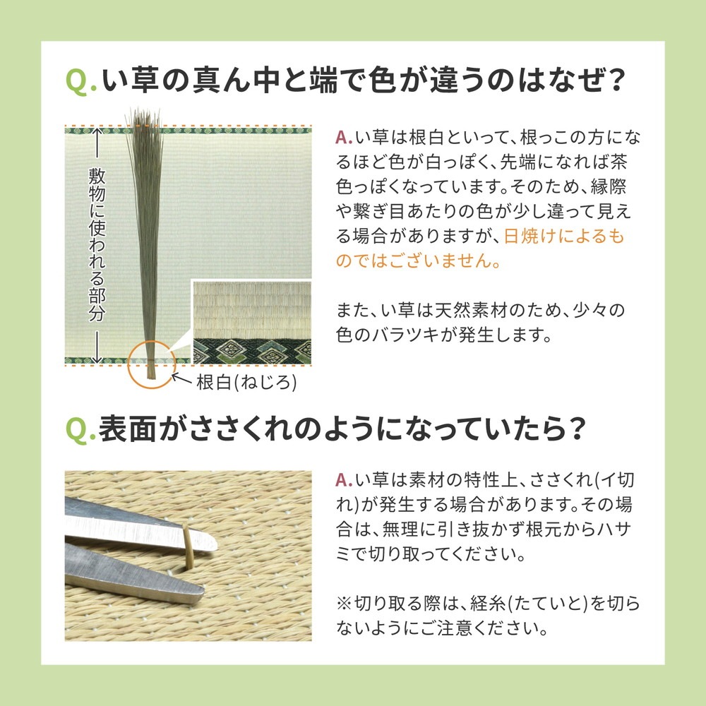国産い草カーペット [天草（あまくさ）] 江戸間 4.5帖（261x261cm） グリーン