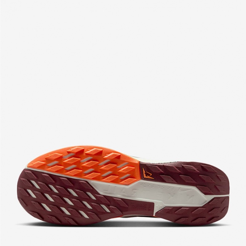 国内店ナイキスニーカーペガサストレイル 5 DV3864-600 S2508 トレーラーランニングシューズ 国内店ナイキスニーカーペガサストレイル 5 DV3864-600 S2508 トレーラーランニングシューズ