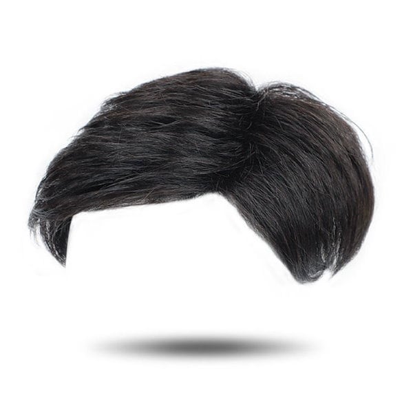 Qoo10] ウィッグ 男性 七三分け トップカバー