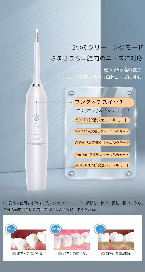 Qoo10] 【歯科医師監修】歯プラシ 歯科專売 超音