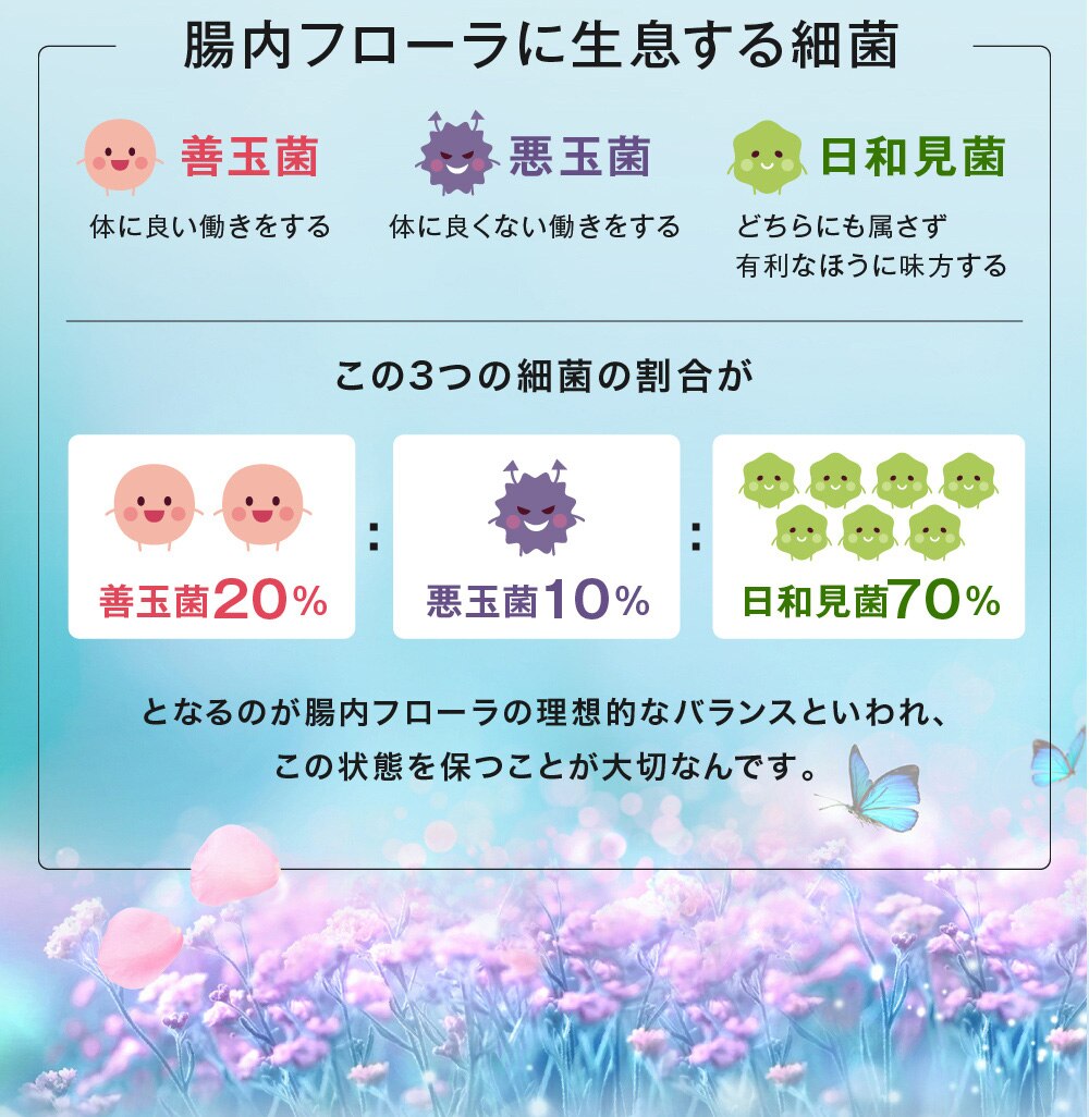 【お得１年分！】5兆個の 善玉菌 のチカラ 緊急 菌活 ダイエットサプリ腸内フローラ【クレンズ革命　4袋セット】 乳酸菌 デブ菌 痩せ菌 内側から スッキリ 腸活 ダイエットサプリ ビフィズス菌