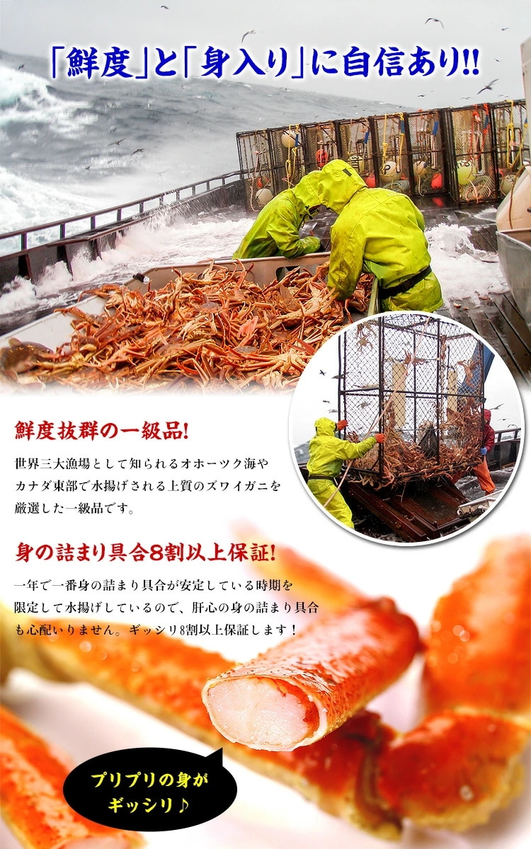 【メガ割セール中】メガ盛り3kg!ボイルずわいがに足食べ放題 (若干の足折れが入る場合があります) カニ かに 最短発送 【メガ割セール中】メガ盛り3kg!ボイルずわいがに足食べ放題 (若干の足折れが入る場合があります) カニ かに 最短発送