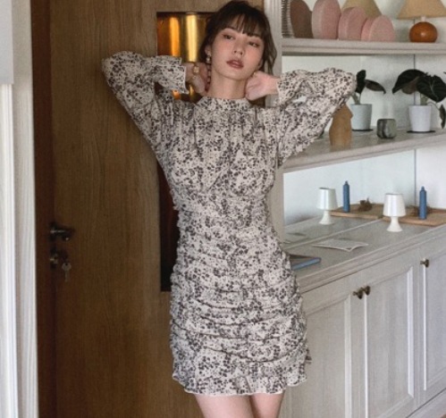 花柄シフォンミニ丈ワンピース ワンピース ミニ丈 長袖 ハイネック スリム タイト 細身 花柄シフォンミニ丈ワンピース ワンピース ミニ丈 長袖 ハイネック スリム タイト 細身