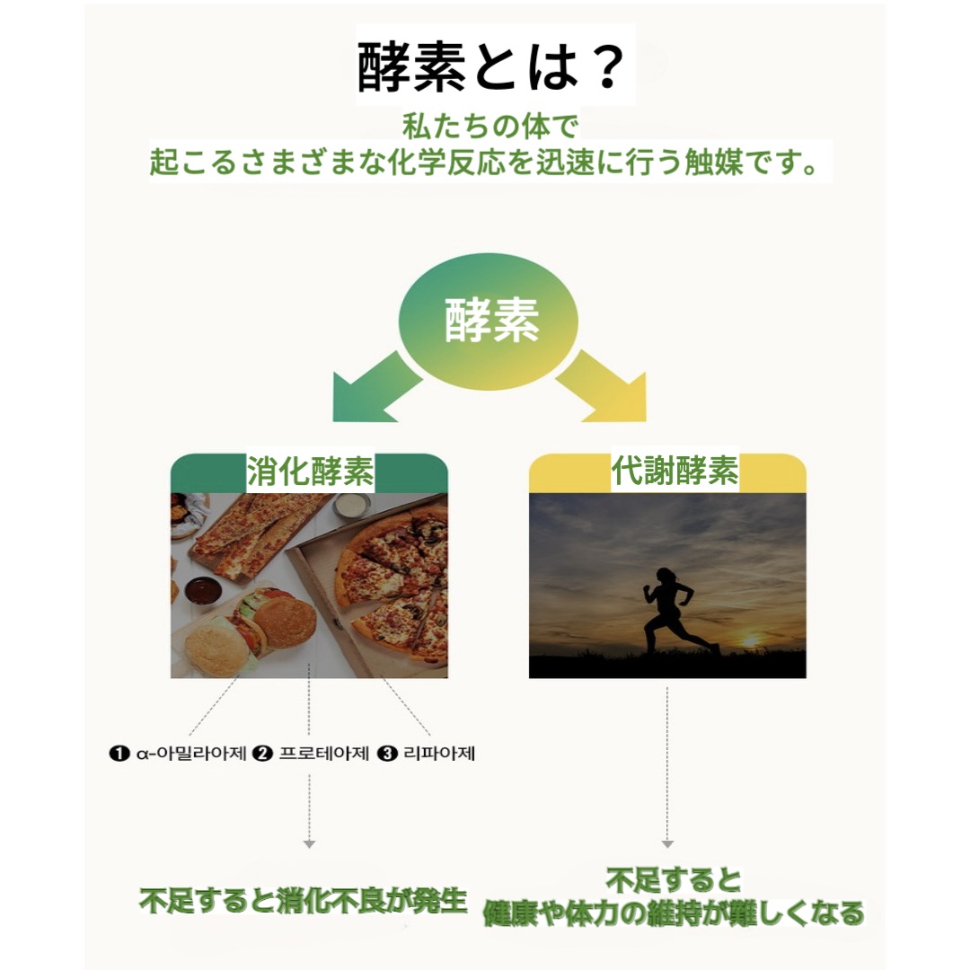 パインオロジー 酵素 乳酸菌 穀物発酵酵素剤_84g_1個 パインオロジー 酵素 乳酸菌 穀物発酵酵素剤_84g_1個