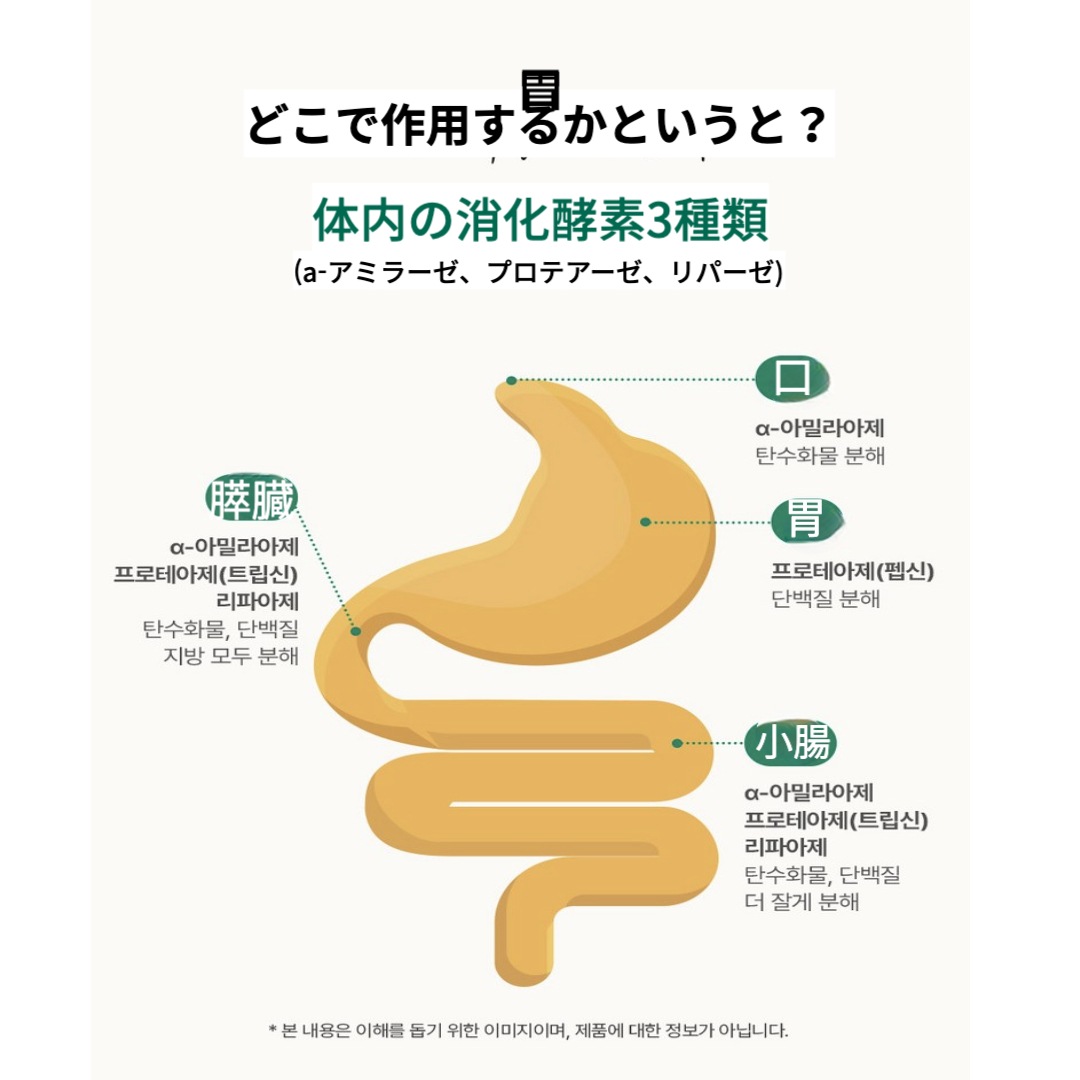 パインオロジー 酵素 乳酸菌 穀物発酵酵素剤_84g_1個 パインオロジー 酵素 乳酸菌 穀物発酵酵素剤_84g_1個