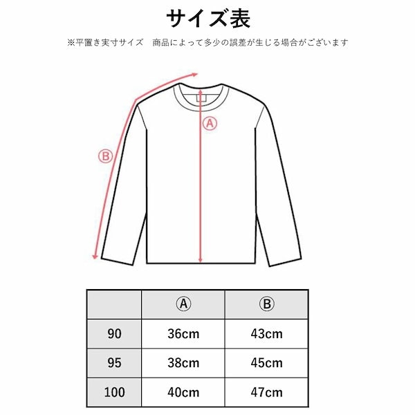 はらぺこあおむし トレーナー サイズ100 - トップス(トレーナー)