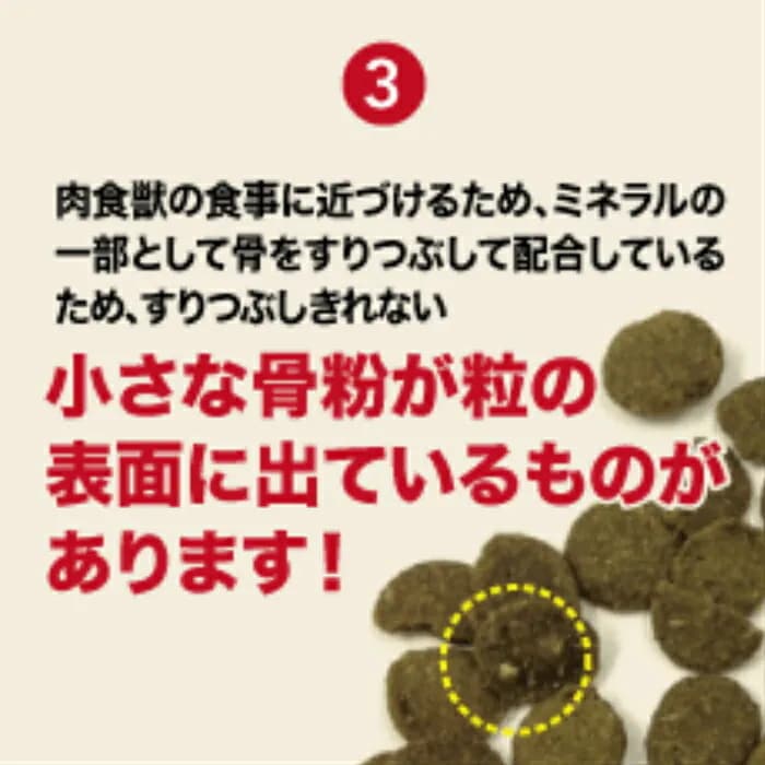 キアオラ 国産 鶏むねジャーキー付き グラスフェッドビーフ＆レバー 9.5kg ドッグフード 全犬種 大型犬 中型犬 小型犬 ビーフ生肉 ビーフレバー