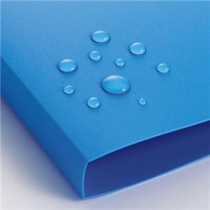 (まとめ) TANOSEE レターファイル(PP) A4タテ 120枚収容 背幅18mm ブルー 1冊 30セット (まとめ) TANOSEE レターファイル(PP) A4タテ 120枚収容 背幅18mm ブルー 1冊 30セット