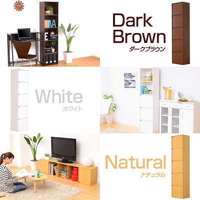 得価正規店 a4-t5d : A4サイズ収納 OK 扉付き カラーボッ : 家具・インテリア 特価定番