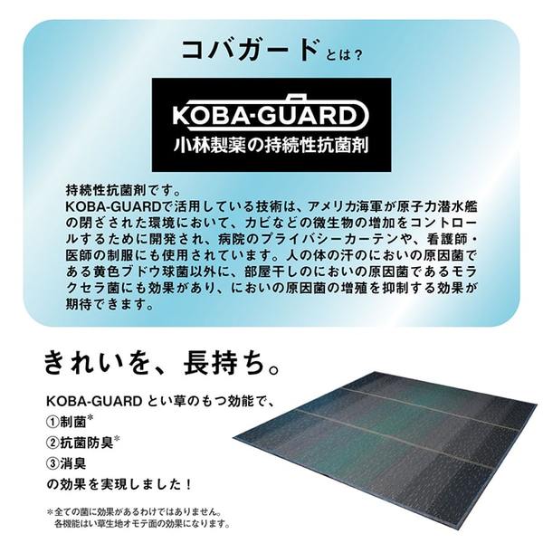 ラグ 小林製薬 持続性抗菌剤 KOBA-GUARD 制菌 抗菌防臭 滑り止め 不織布 夏 い草 グラデーション オレンジ 約190x190cm