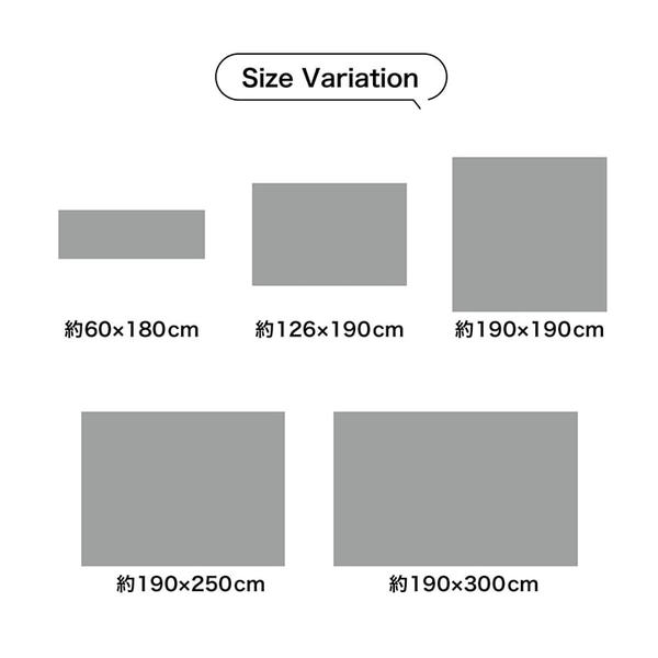 ラグ 小林製薬 持続性抗菌剤 KOBA-GUARD 制菌 抗菌防臭 滑り止め 不織布 夏 い草 グラデーション オレンジ 約190x190cm