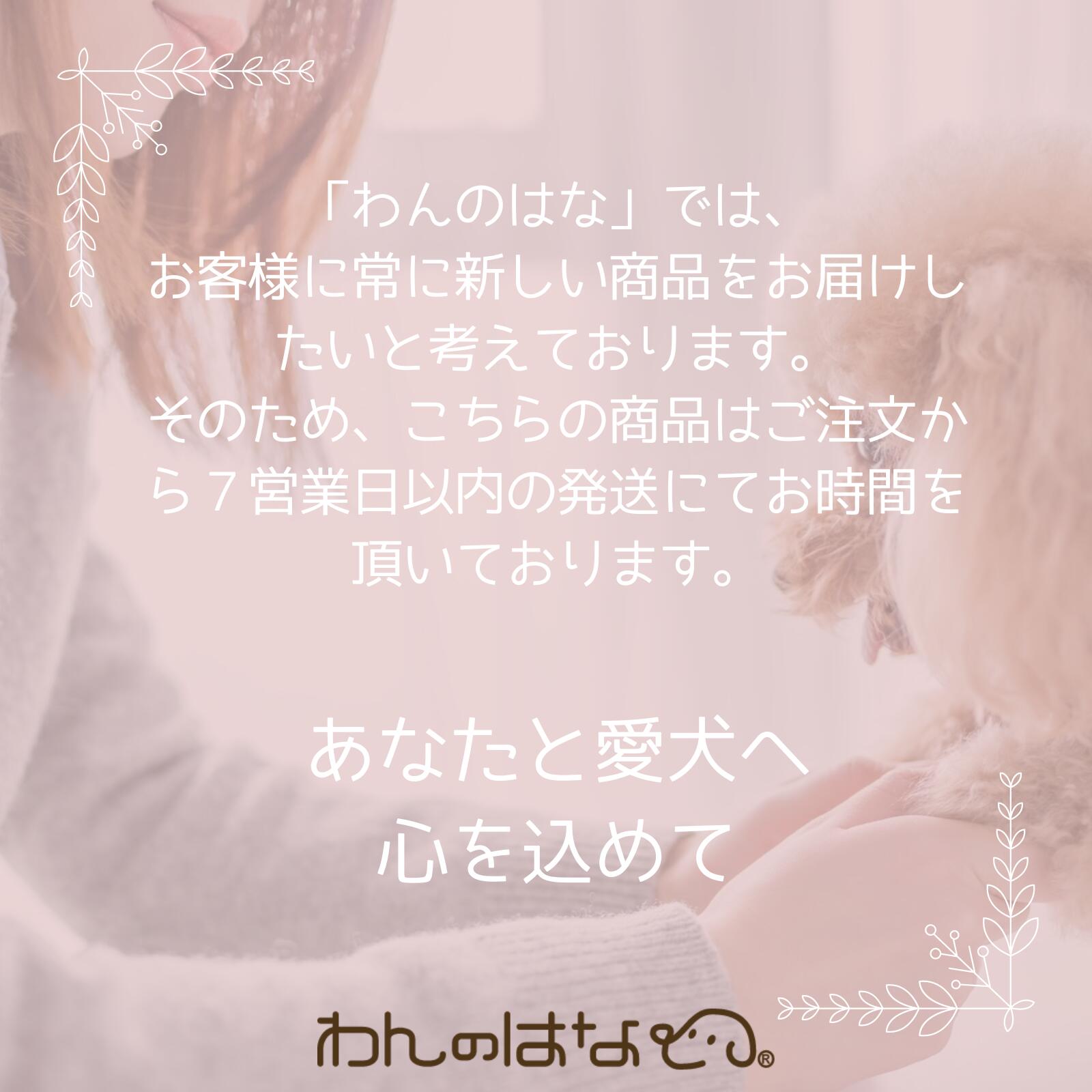 天使のつばさ 安心おひつぎと旅立ち衣装Lサイズ【送料無料】 天使のつばさ 安心おひつぎと旅立ち衣装Lサイズ【送料無料】