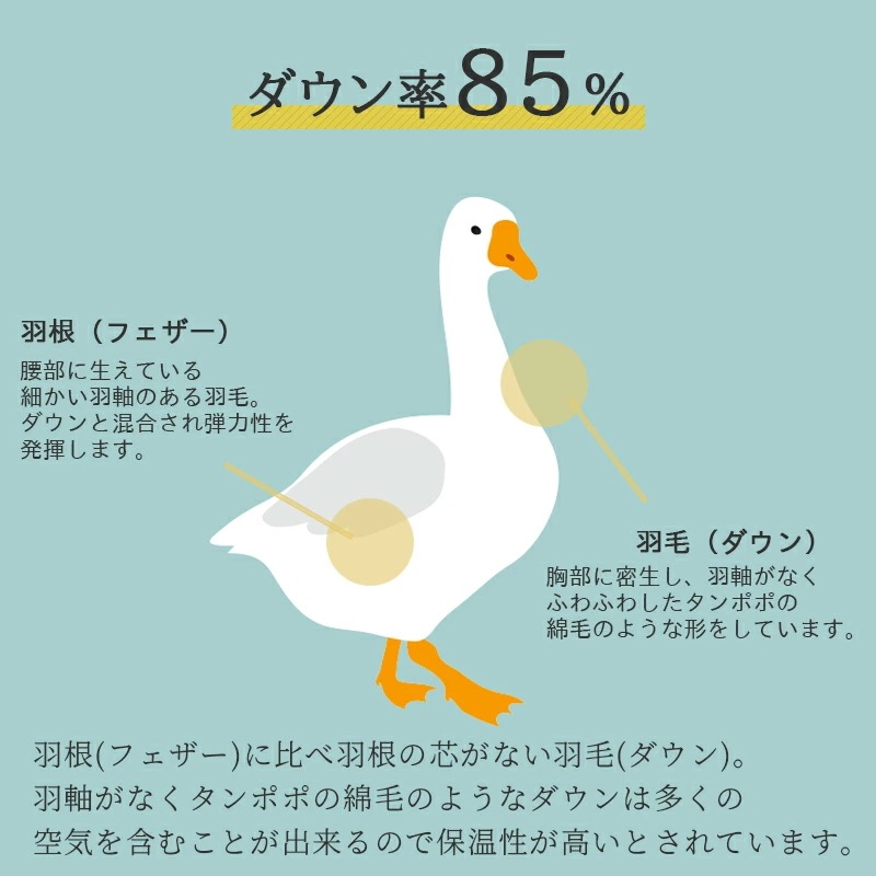 肌掛け布団 ダウンケット シングル ダウン 85% 羽毛肌掛け布団 吸湿 放湿 夏用 羽毛 キルトケット 洗える ウォッシャブル 150×210cm 肌掛け布団 ダウンケット シングル ダウン 85% 羽毛肌掛け布団 吸湿 放湿 夏用 羽毛 キルトケット 洗える ウォッシャブル 150×210cm