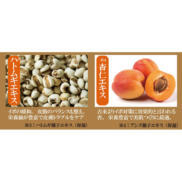 ハトムギ 泡 パック ハトムギと杏仁の ツブトールバブルパック 30g 3個セット ハトムギ 泡 パック ハトムギと杏仁の ツブトールバブルパック 30g 3個セット