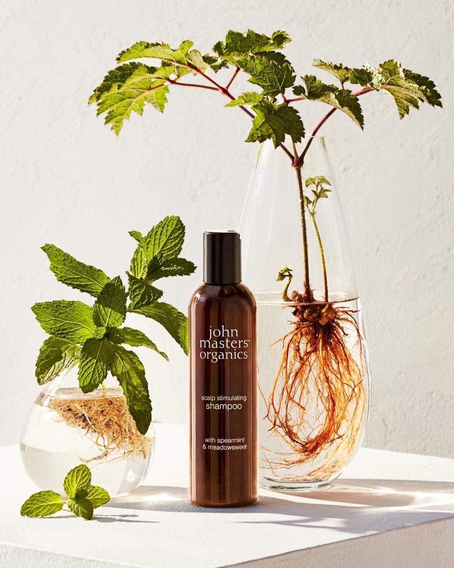 ジョンマスターオーガニック(john masters organics) S＆Mスキャルプシャンプー N(スペアミント＆メドウスイート)473mL 473ミリリットル (x 1)