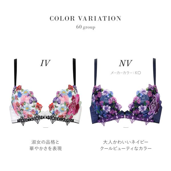サルート 69G IV ブラD65 サルート 69グループ ブラ D65 & ソングM IV ☆店舗限定☆