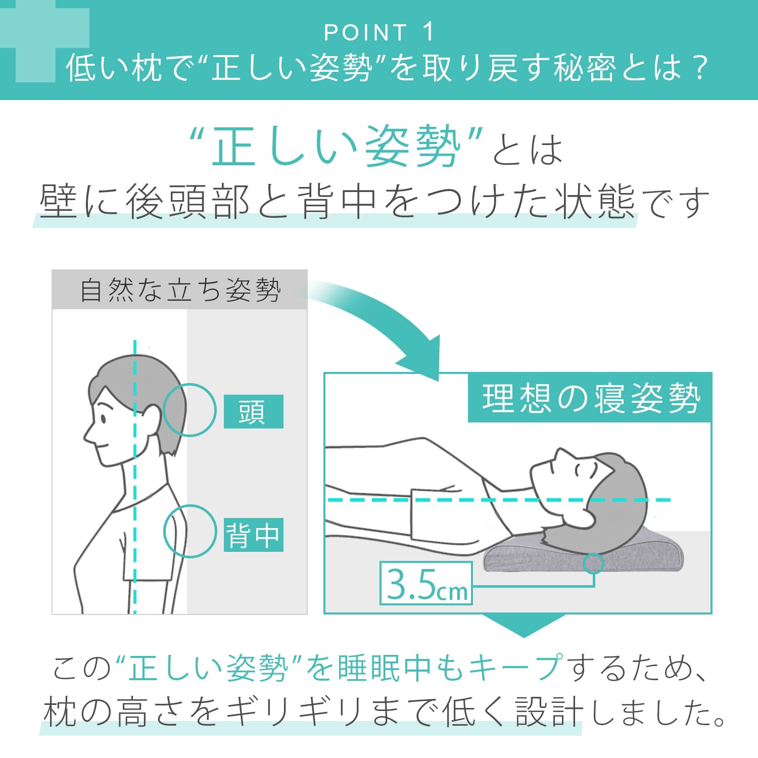 眠っている間に姿勢を取り戻す3.5センチ低い枕 1日3時間以上モニターの前で作業する方用マクラとガイドのセット 低反発 快眠 まくら 低め 仰向け 眠っている間に姿勢を取り戻す3.5センチ低い枕 1日3時間以上モニターの前で作業する方用マクラとガイドのセット 低反発 快眠 まくら 低め 仰向け